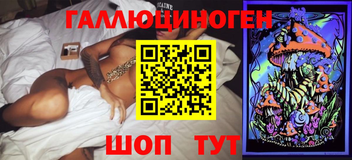Галлюциногенные грибы Cubensis Обь